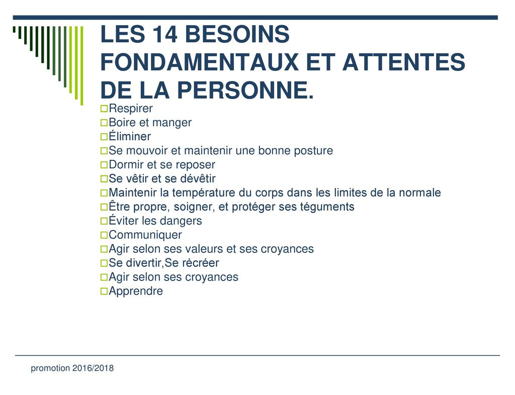 Les 14 Besoins Fondamentaux De Virginia Pdf