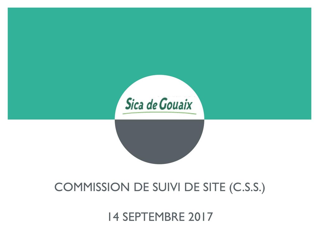 COMMISSION DE SUIVI DE SITE (c.s.s.)