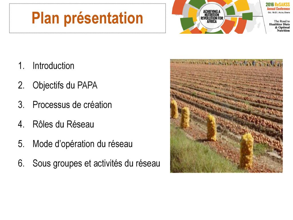 Plan présentation Introduction Objectifs du PAPA Processus de création
