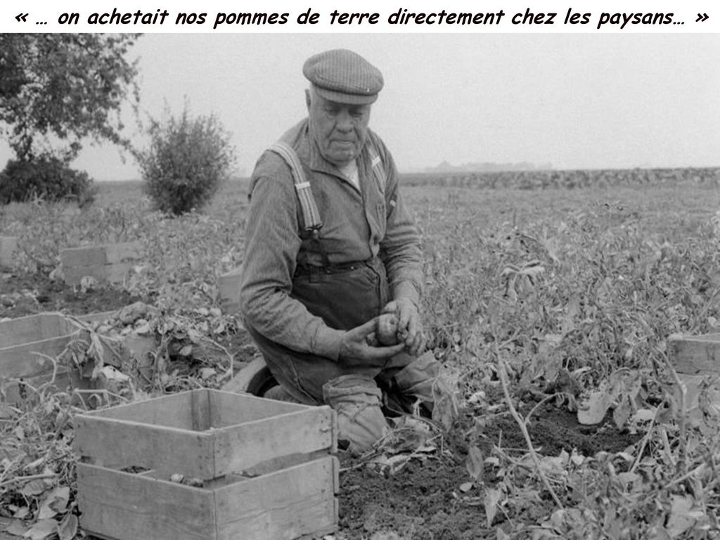 « … on achetait nos pommes de terre directement chez les paysans… »