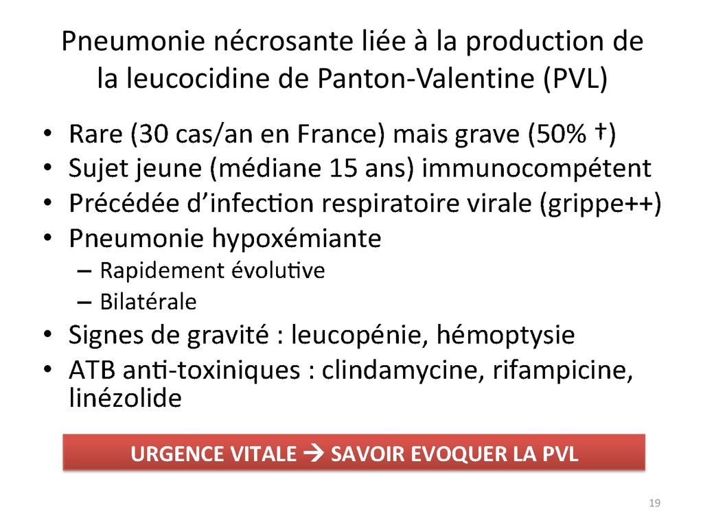 Pneumonie nécrosante liée à la production de la leucocidine de Panton-Valentine (PVL)