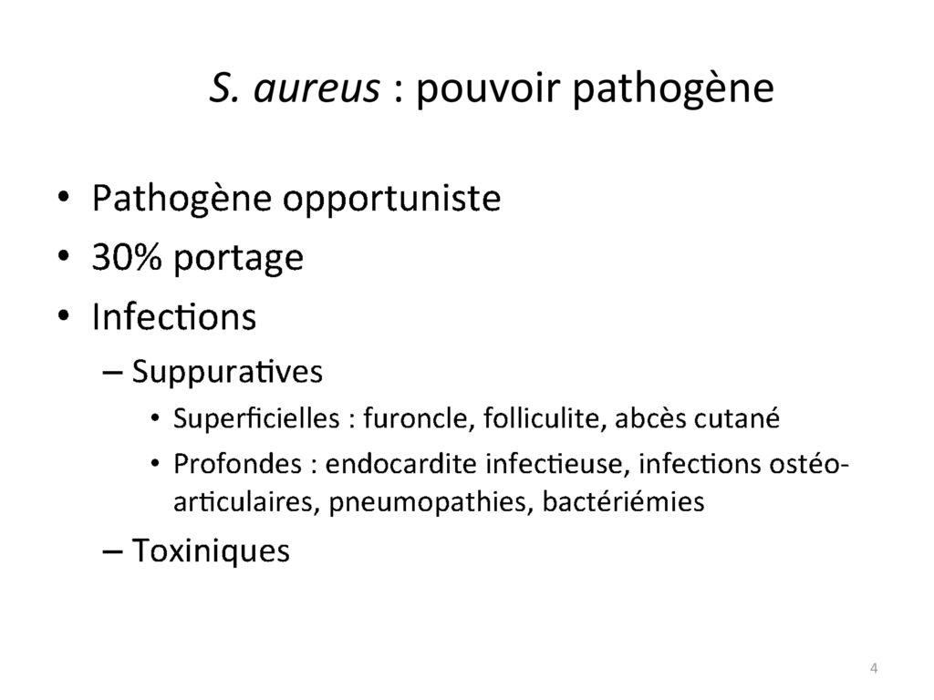 S. aureus : pouvoir pathogène