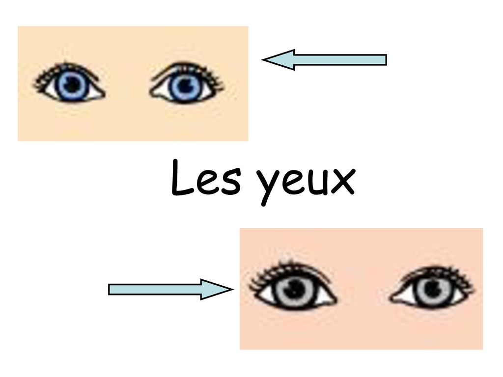 Les yeux