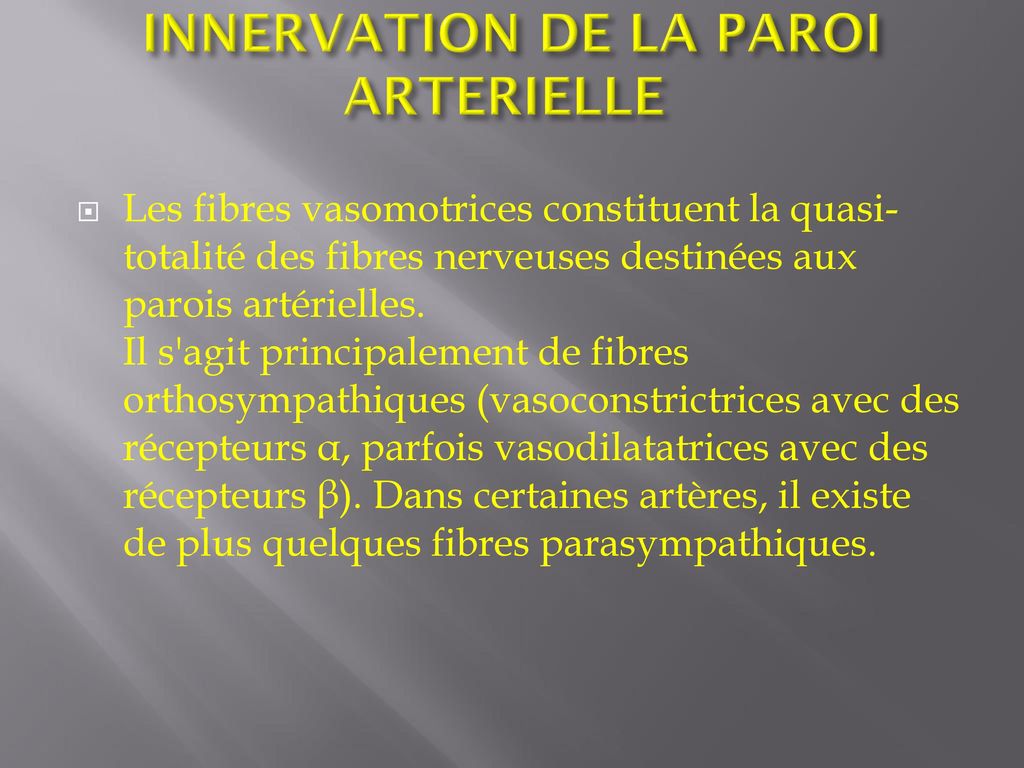 INNERVATION DE LA PAROI ARTERIELLE