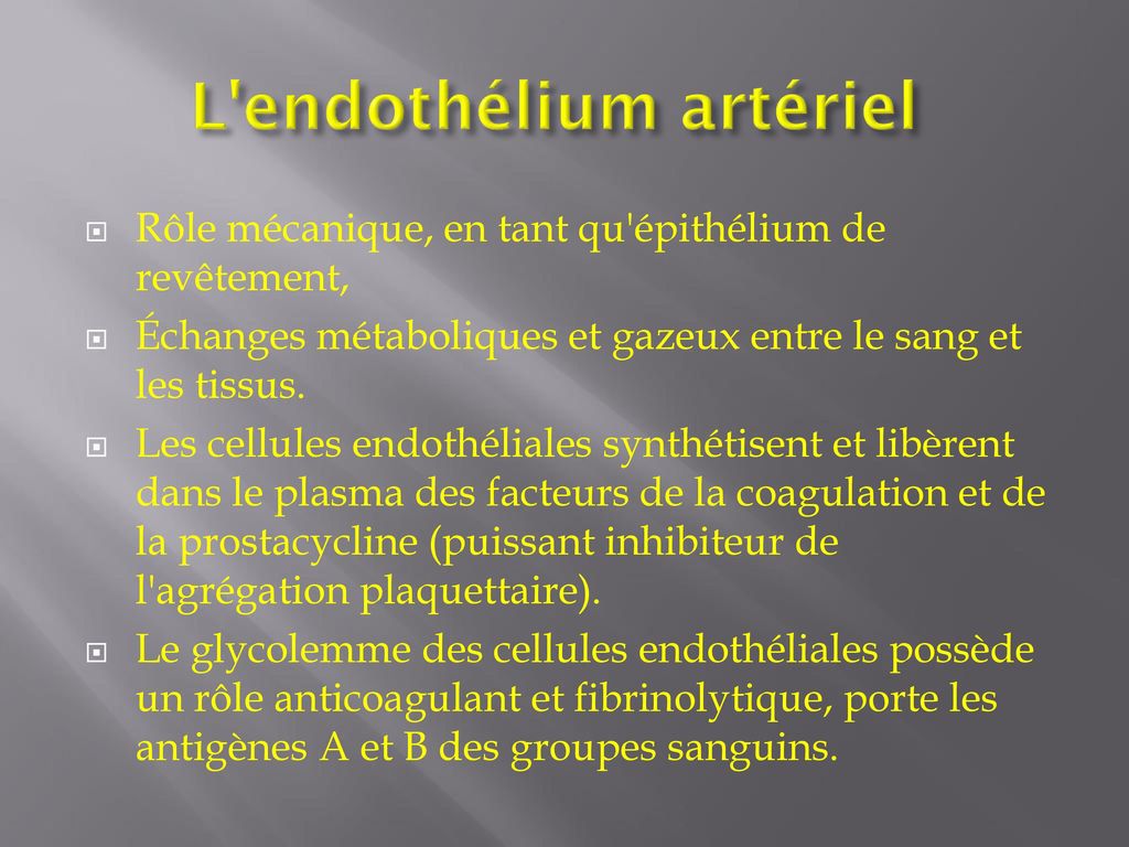 L endothélium artériel
