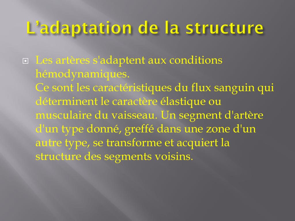 L’adaptation de la structure