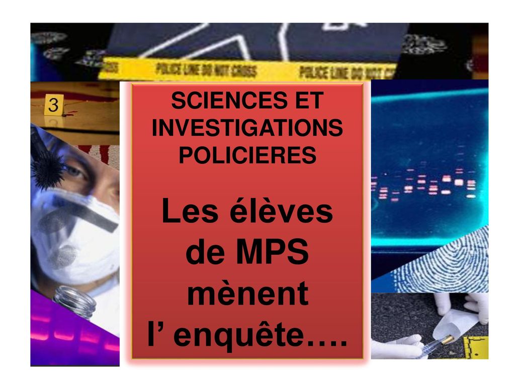 Les élèves de MPS mènent l’ enquête….