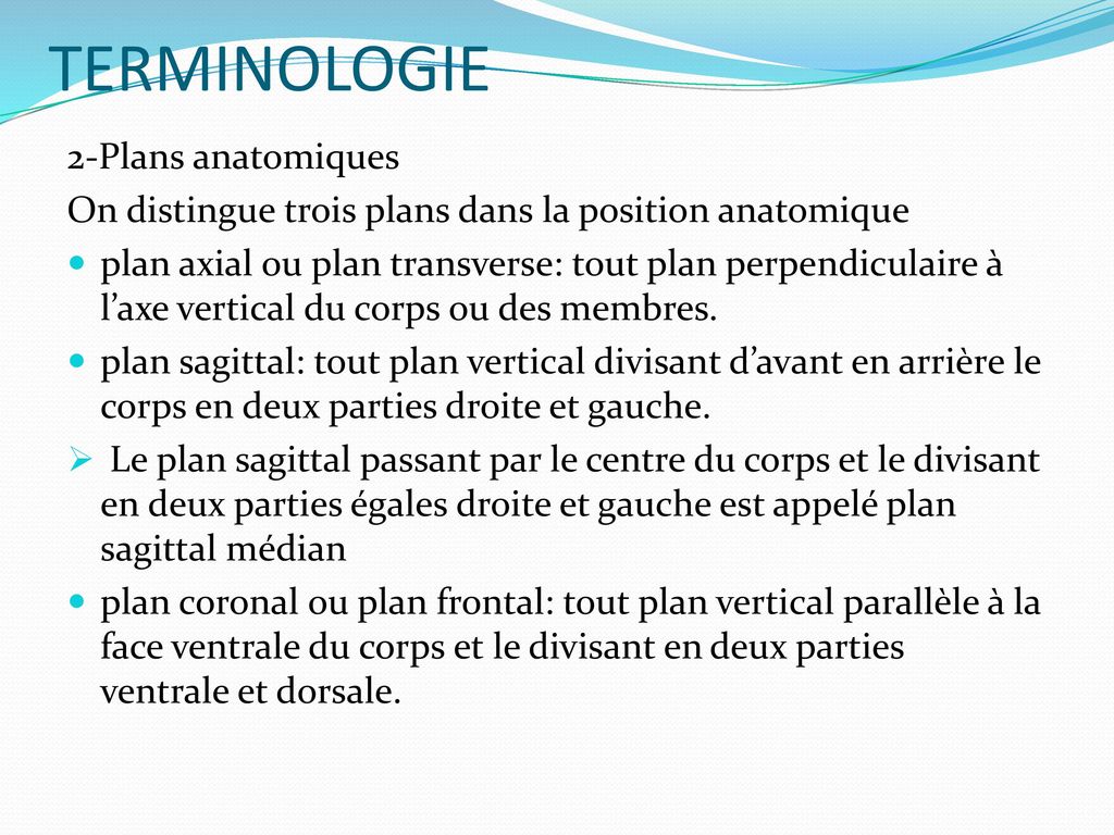 TERMINOLOGIE 2-Plans anatomiques