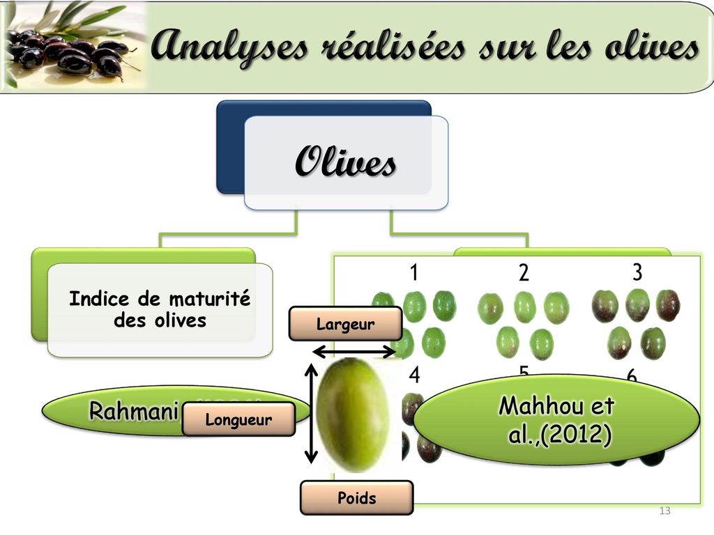 Indice de maturité des olives