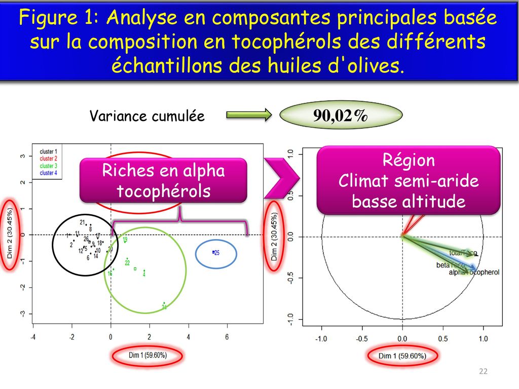 Figure 1: Analyse en composantes principales basée sur la composition en tocophérols des différents échantillons des huiles d olives.