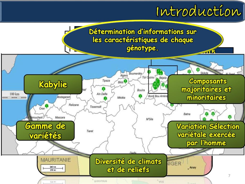 Introduction Kabylie Gamme de variétés