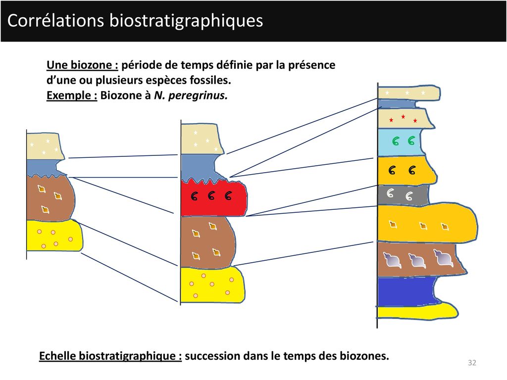 Biostratigraphie : définition et explications