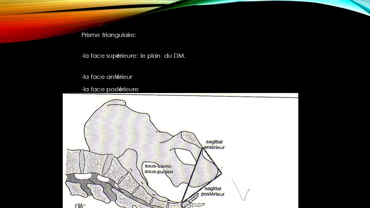 Forme: Prisme triangulaire: -la face supérieure: le plan du DM.