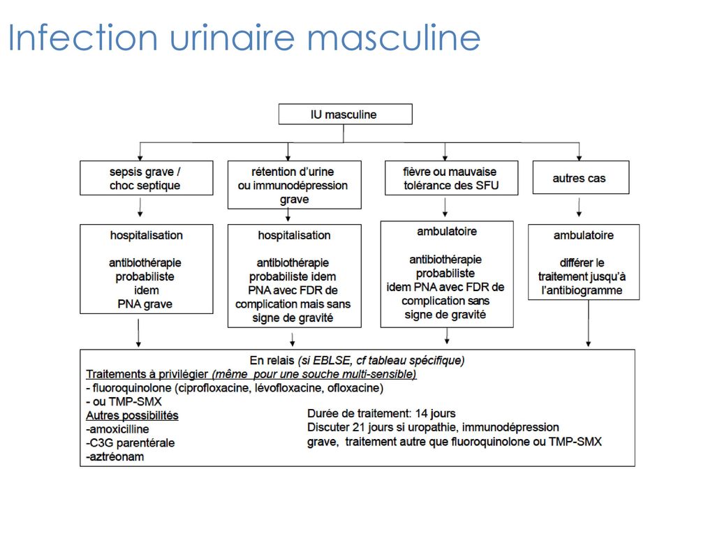 Infection urinaire masculine