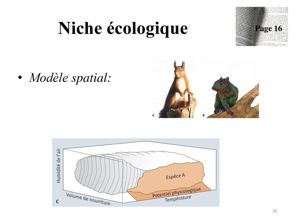 Niche écologique Page 16 Modèle spatial: