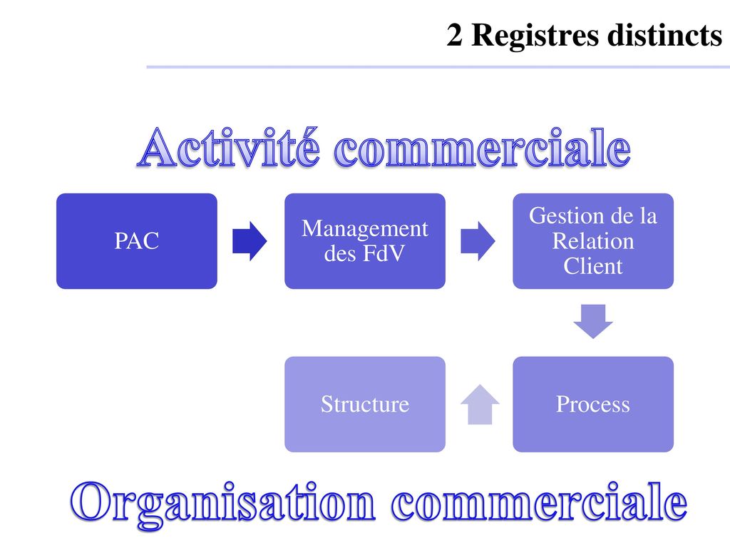 Organisation commerciale