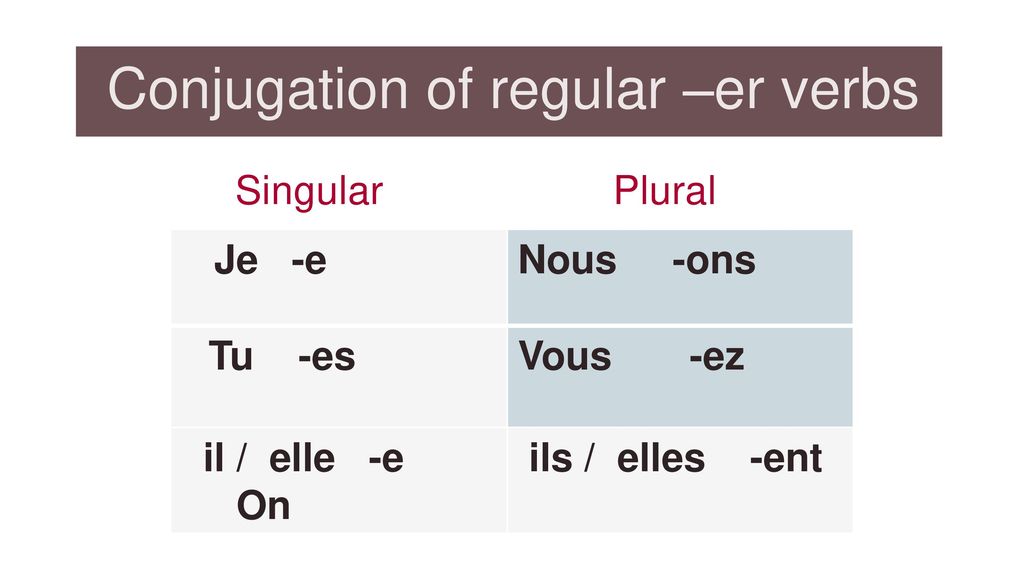 Conjugation of regular –er verbs