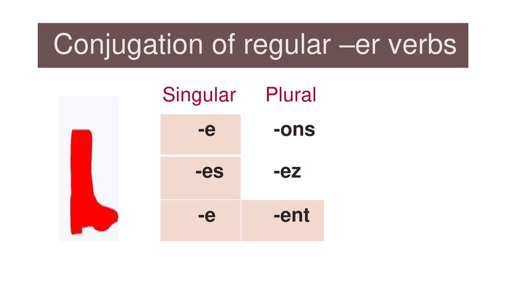 Conjugation of regular –er verbs