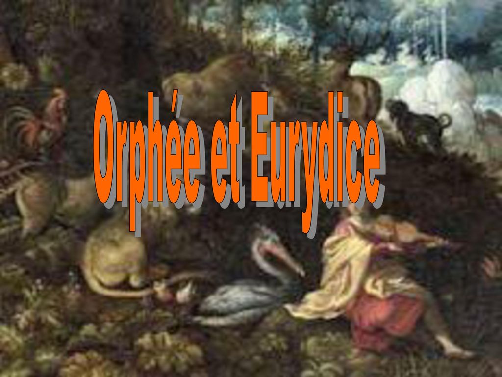 orphée et eurydice leur rencontre