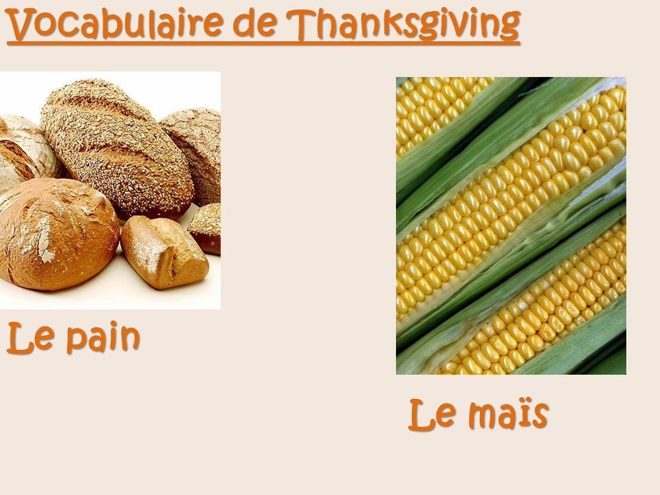 Vocabulaire de Thanksgiving