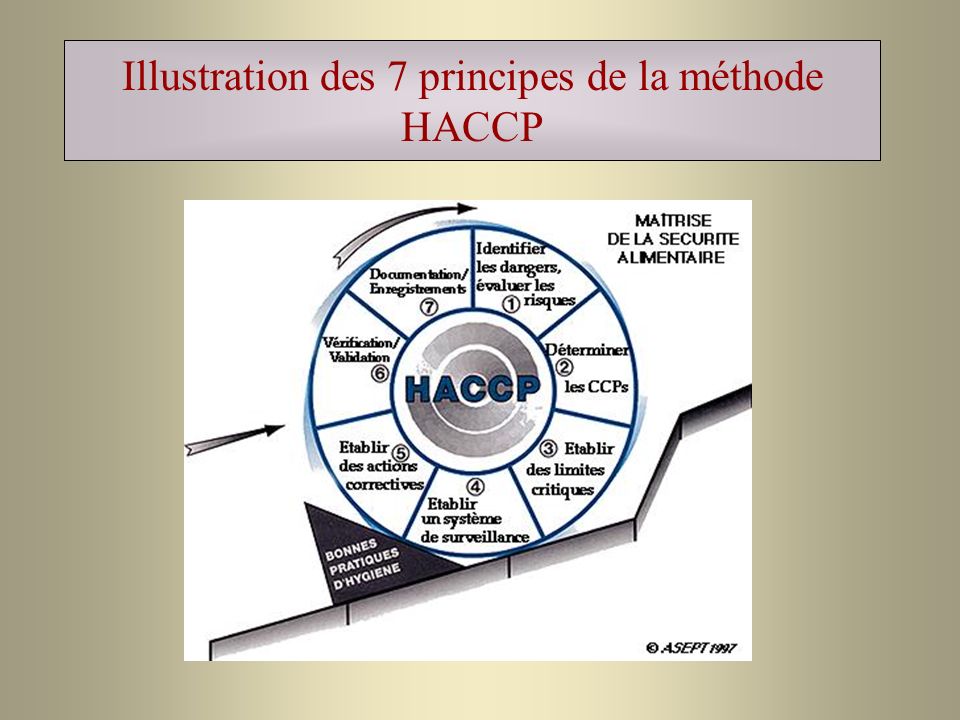 Illustration des 7 principes de la méthode HACCP