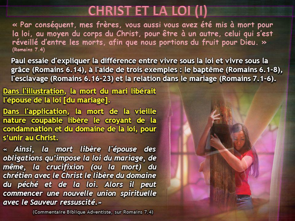 CHRIST ET LA LOI (I)