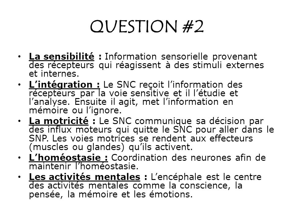 QUESTION #2 La sensibilité : Information sensorielle provenant des récepteurs qui réagissent à des stimuli externes et internes.
