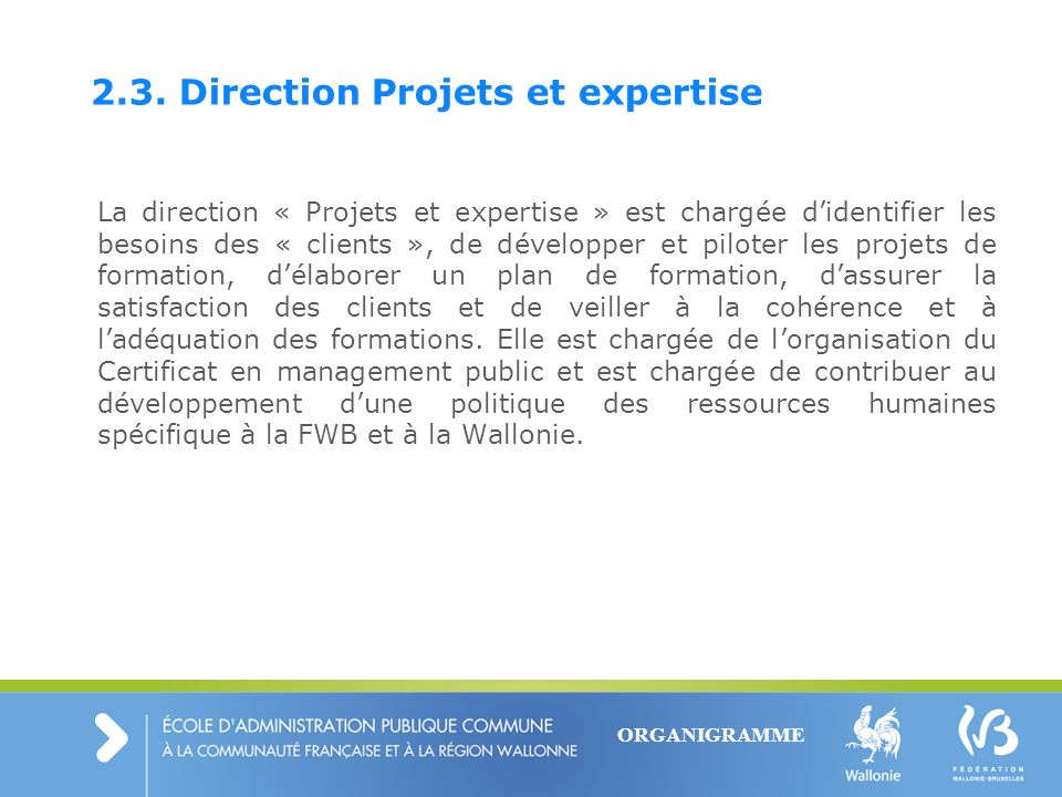 2.3. Direction Projets et expertise