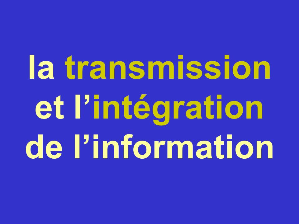 la transmission et l’intégration de l’information