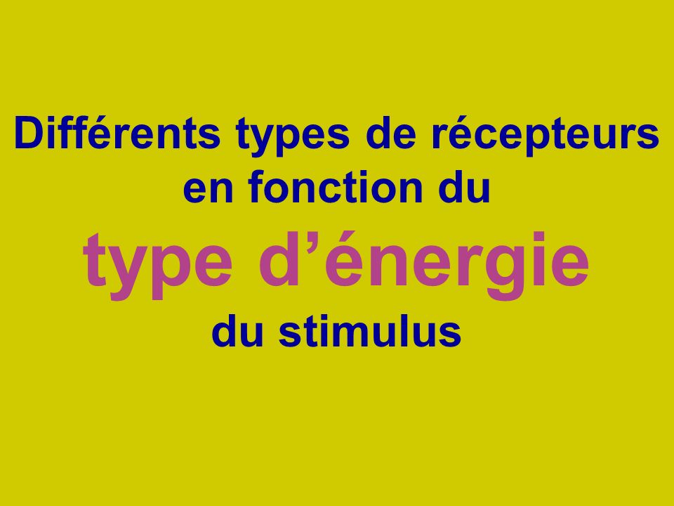 Différents types de récepteurs en fonction du type d’énergie du stimulus