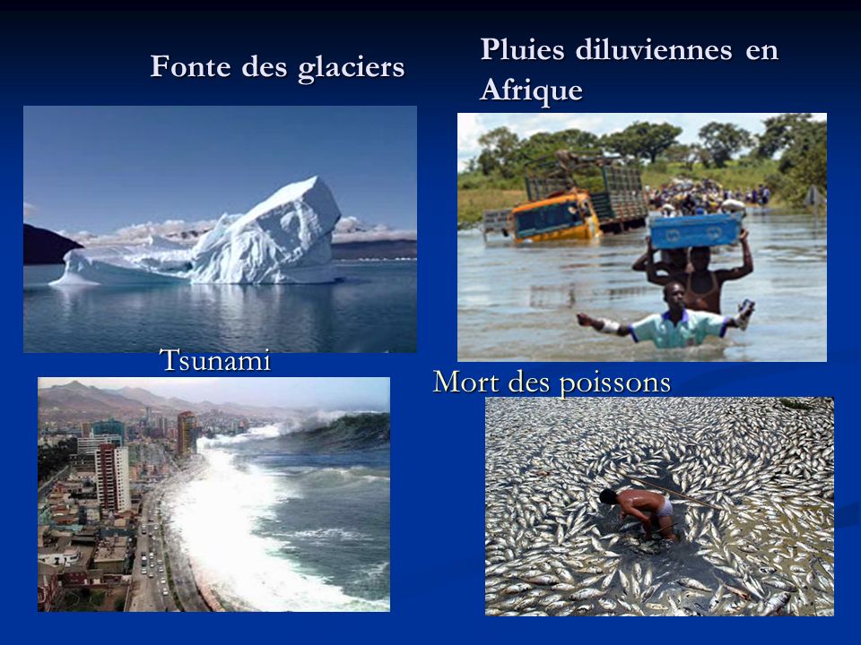 Fonte des glaciers Pluies diluviennes en Afrique Tsunami Mort des poissons