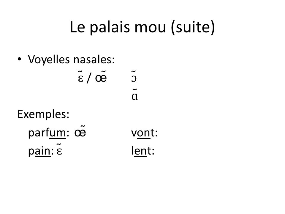 Le palais mou (suite) Voyelles nasales: ɛ̃ / œ̃ ɔ̃ ɑ̃ Exemples: