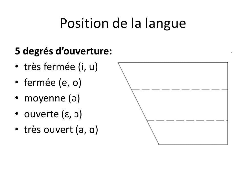 Position de la langue 5 degrés d’ouverture: très fermée (i, u)