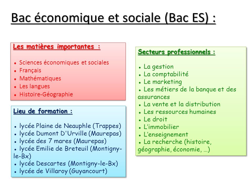 Bac économique et sociale (Bac ES) :