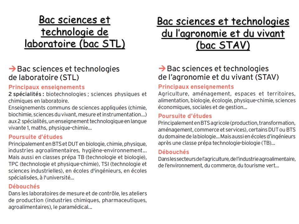 Bac sciences et technologie de laboratoire (bac STL)