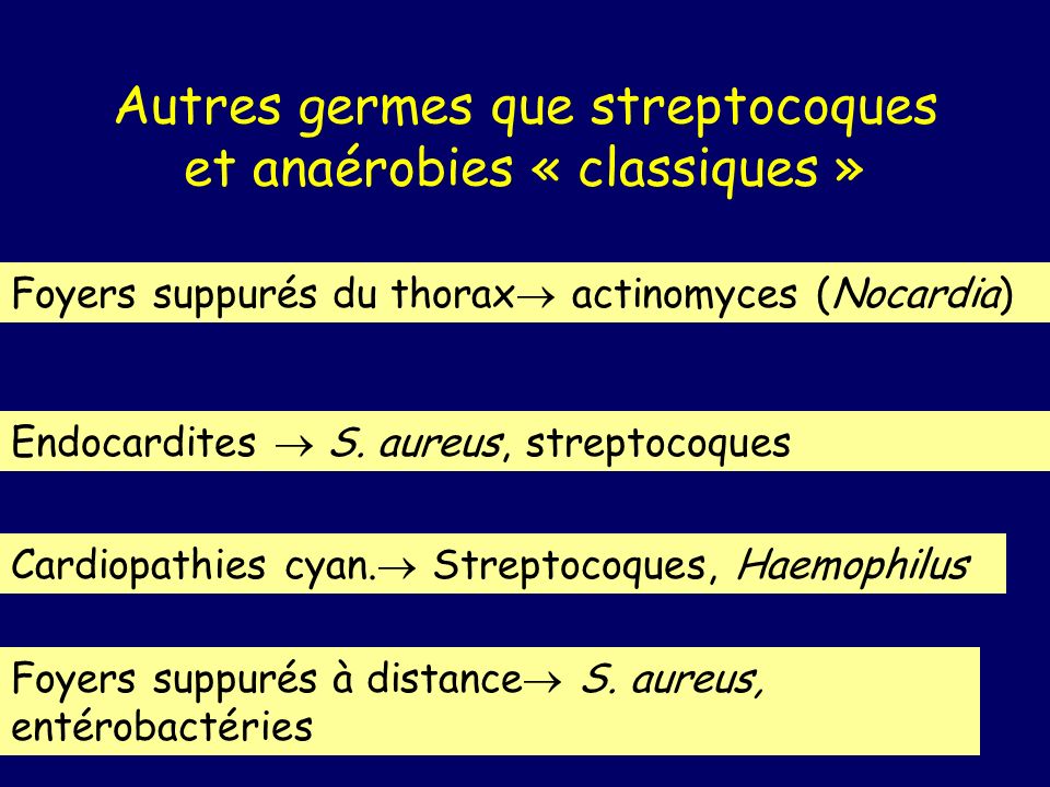 Autres germes que streptocoques et anaérobies « classiques »
