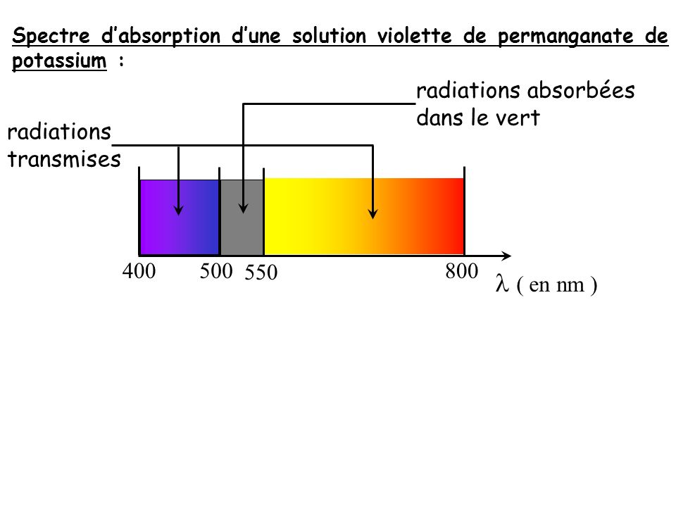  ( en nm ) radiations absorbées dans le vert radiations transmises