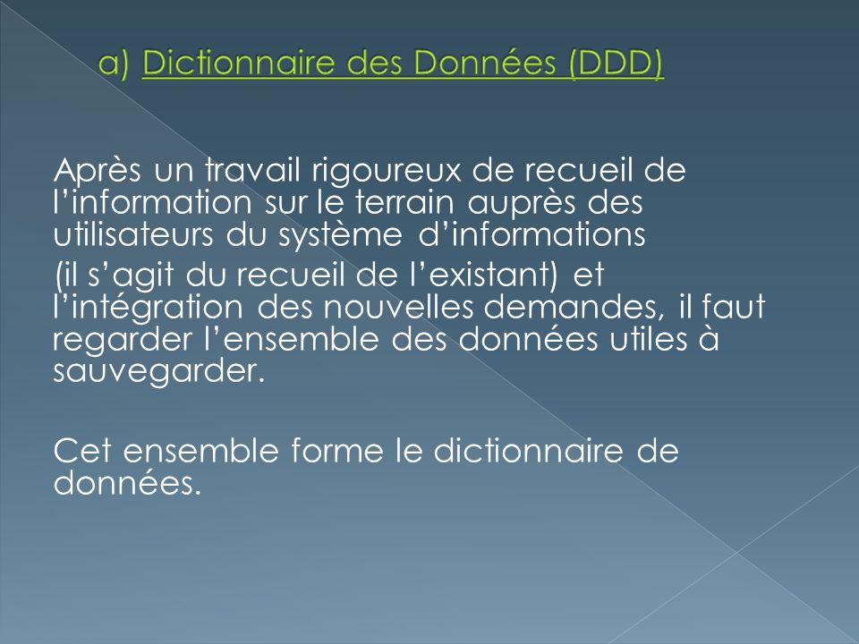 a) Dictionnaire des Données (DDD)