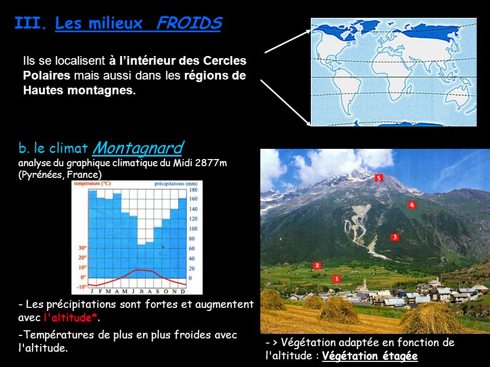 Les milieux FROIDS b. le climat Montagnard