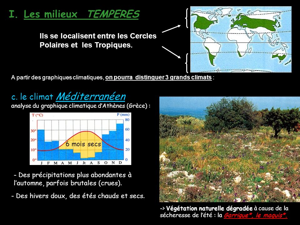 Les milieux TEMPERES c. le climat Méditerranéen