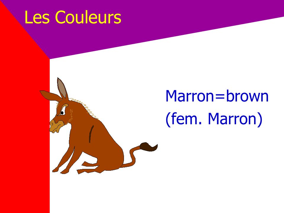 Les Couleurs Marron=brown (fem. Marron)