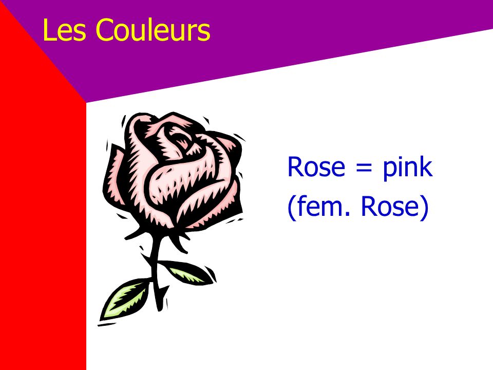 Les Couleurs Rose = pink (fem. Rose)