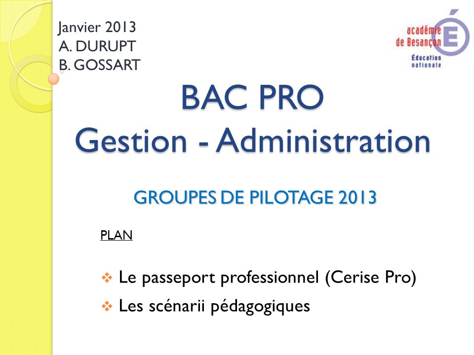 BAC PRO Gestion - Administration GROUPES DE PILOTAGE 2013