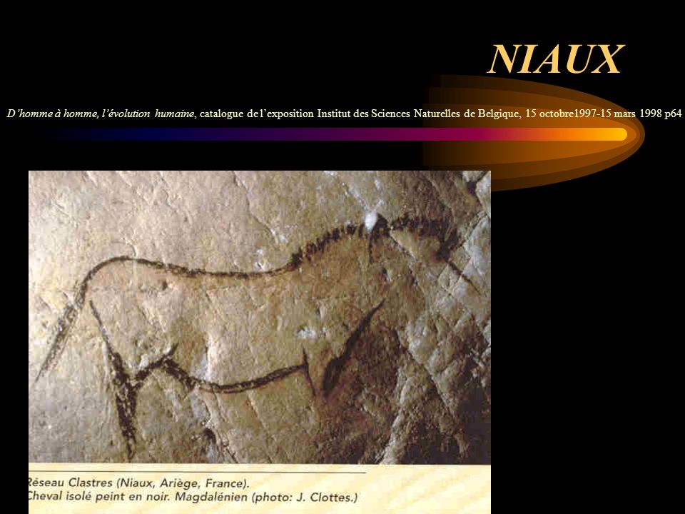 NIAUX D’homme à homme, l’évolution humaine, catalogue de l’exposition Institut des Sciences Naturelles de Belgique, 15 octobre mars 1998 p64.
