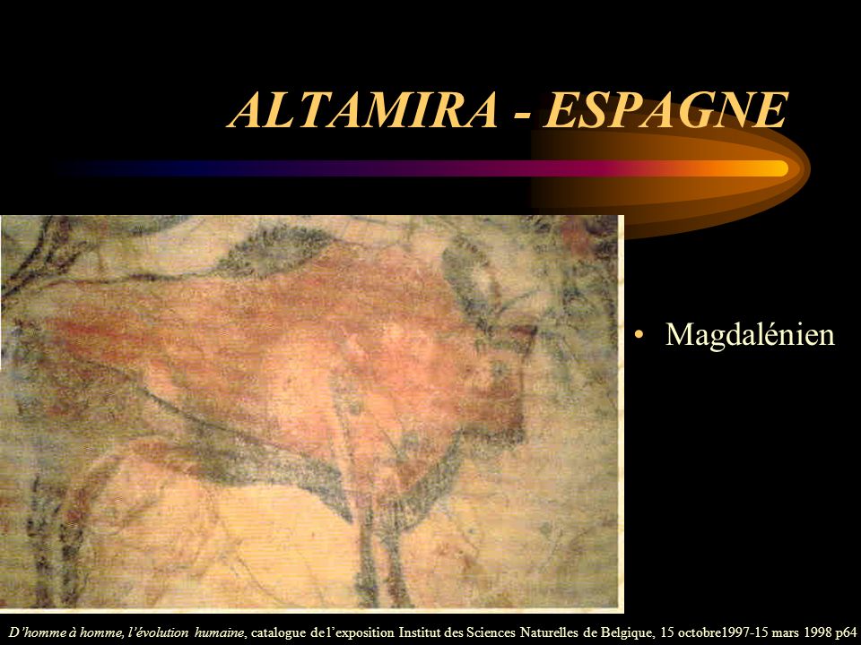 ALTAMIRA - ESPAGNE Magdalénien
