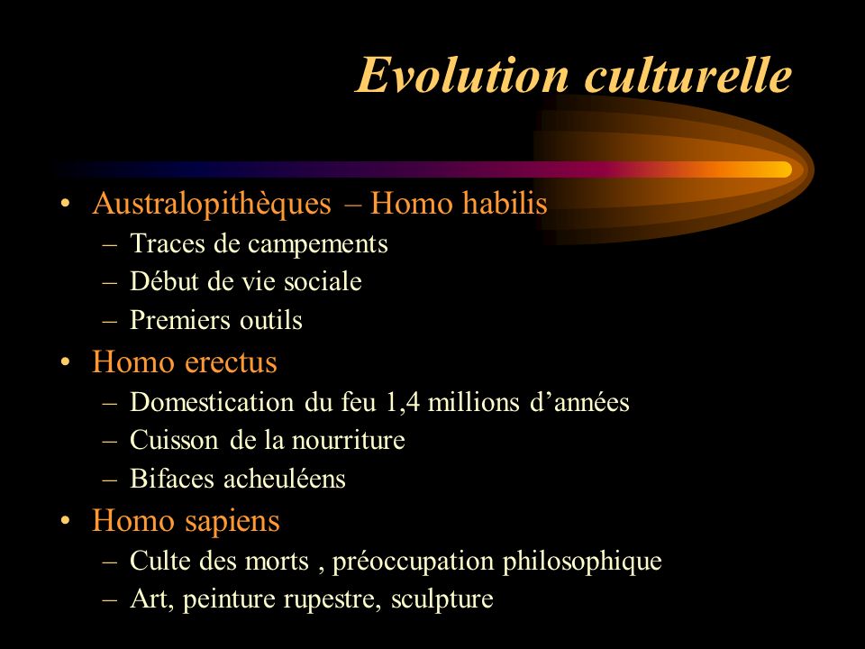 Evolution culturelle Australopithèques – Homo habilis Homo erectus