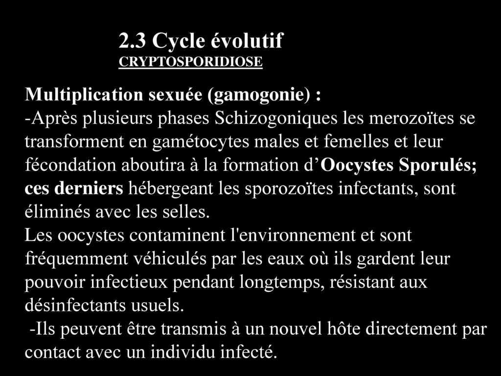 2.3 Cycle évolutif CRYPTOSPORIDIOSE