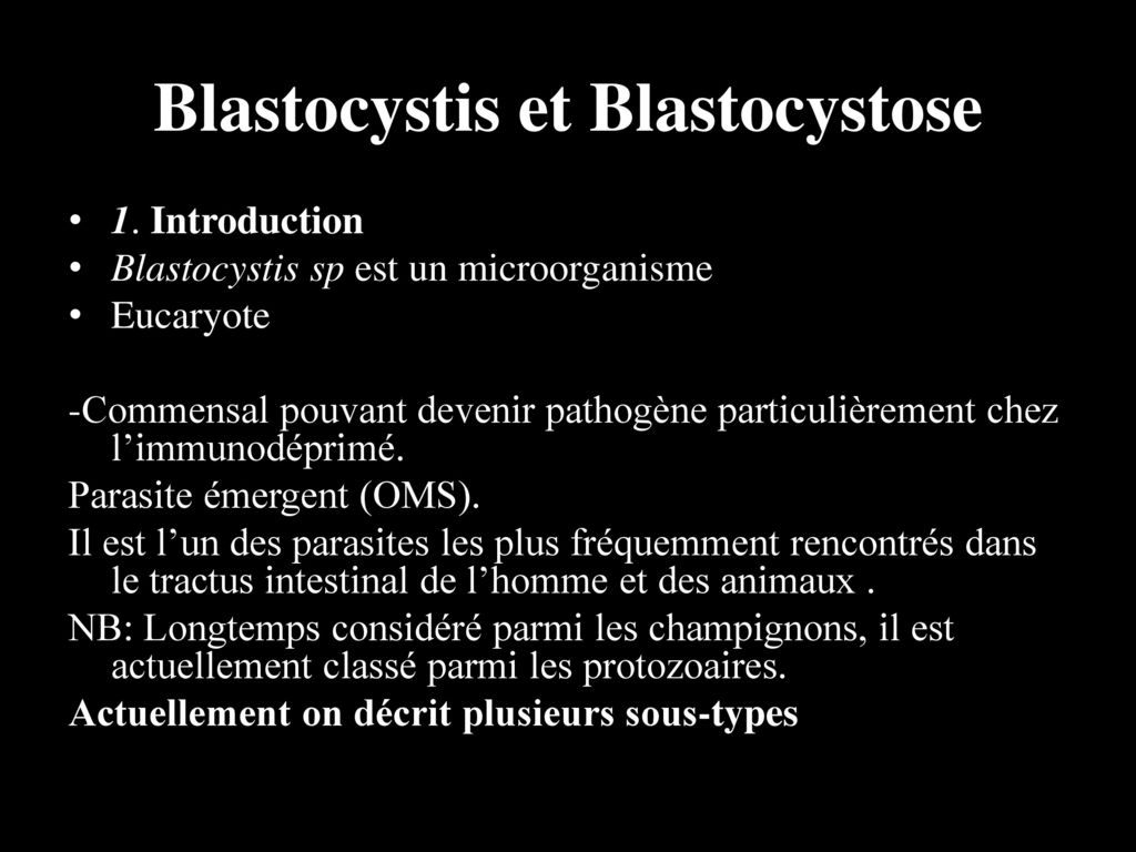 Blastocystis et Blastocystose