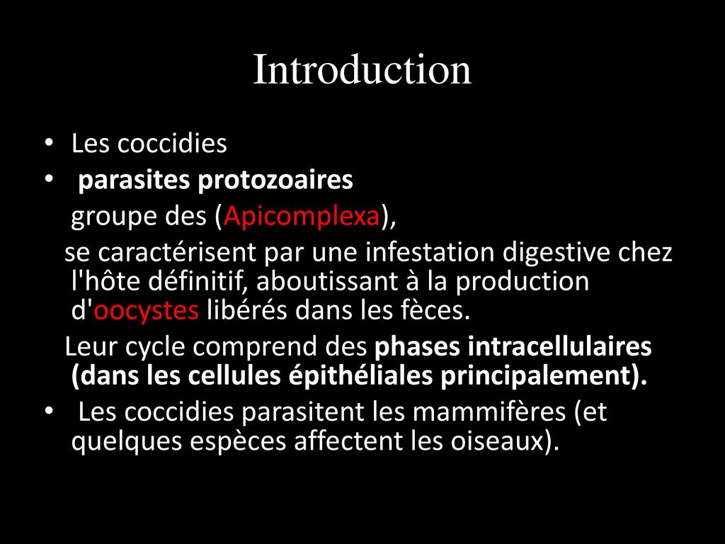 Introduction Les coccidies parasites protozoaires