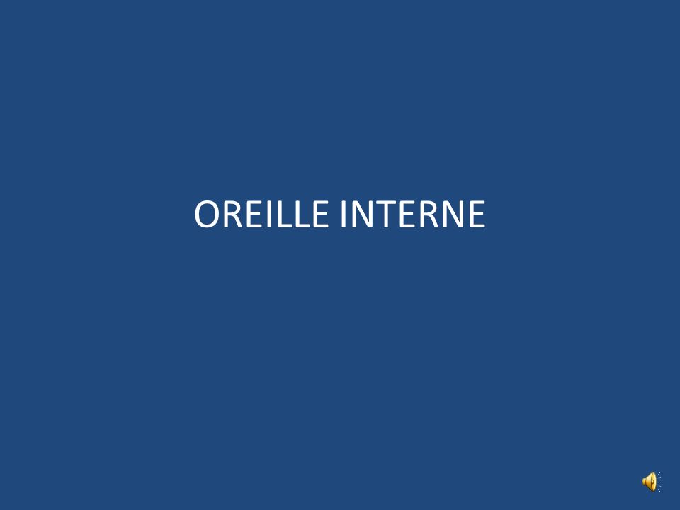 OREILLE INTERNE